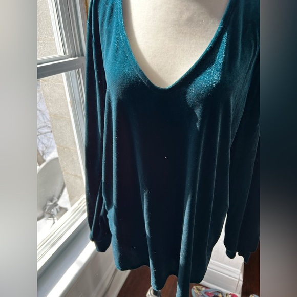 BNWT Cleo size L velvet greenish/blue long-sleeve shirt - Picture 6 of 10